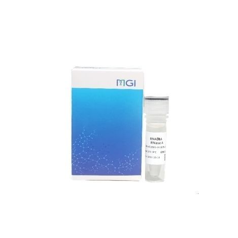 Enzyme-Reagenz - 940-001646-00 - MGI Tech - Nukleinsäure / RNase-Inhibitor / Protein
