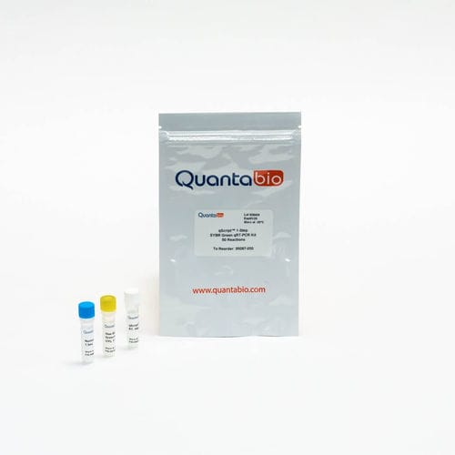 Reagenzkit / als Lösung - qScript One-Step SYBR® - QuantaBio - Taq-Polymerase / umgekehrte Transkriptase / Antikörper