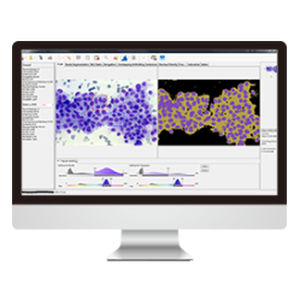 Software für zellulare Bildgebung - AmCAD-CA  - AmCad BioMed - Analyse / Diagnose / Beschaffung