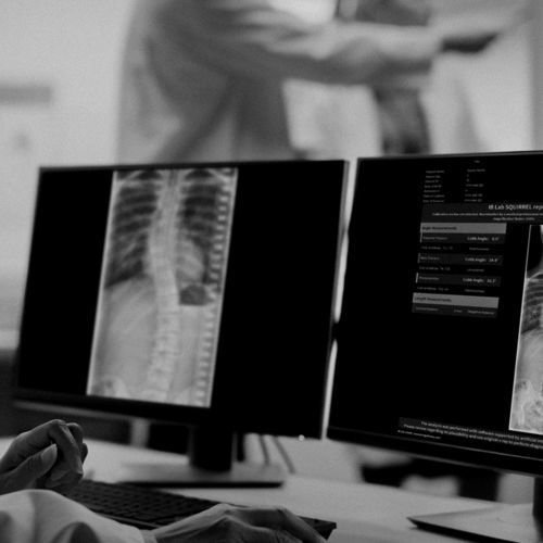 Monitoring-Software - IB Lab SQUIRREL™ - Imagebiopsy Lab - Mess / Bewertung / Kalibrierung
