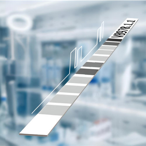 Zöliakie-Testkit - CeliAK IgG LINE  - MEDIPAN GmbH - IgG / Serum / Immunoassayverfahren LIA