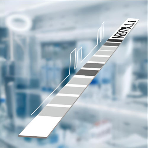 Zöliakie-Testkit - CeliAK IgA LINE - MEDIPAN GmbH - IgA / Serum / Immunoassayverfahren LIA