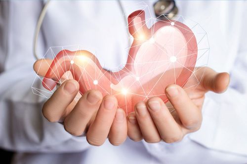 Testkit für Magen-Darm-Krankheiten - Anti-GPC - MEDIPAN GmbH - Anämie