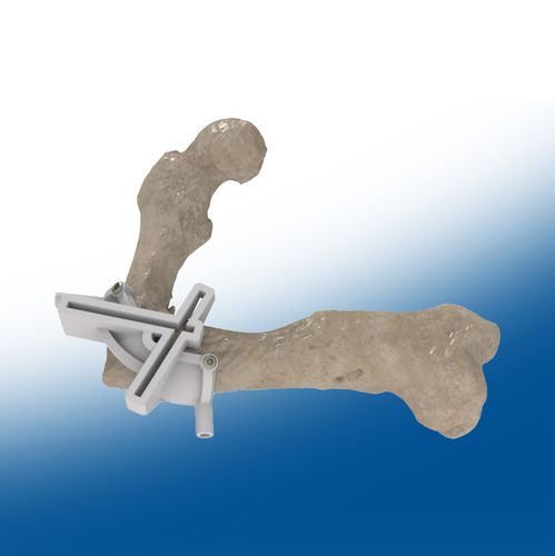 Anatomisches Modell / Oberschenkelknochen - Ortho Baltic - chirurgisch / Ausbildung