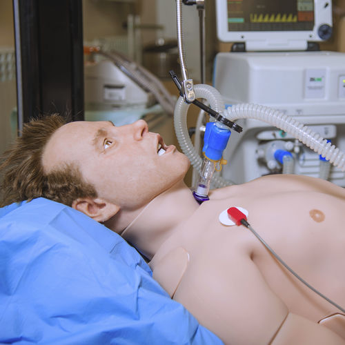 Patientensimulator für Intensivpflege - LEONARDO - MedVision Group - für Intubation / für künstliche Beatmung / für Nasogastralsondierung