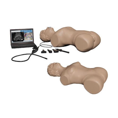 Trainingssimulator - SonoVision - MedVision Group - für Ultraschalluntersuchungen / für Allgemeinpflege / Geburtshilfe/Gynäkologie