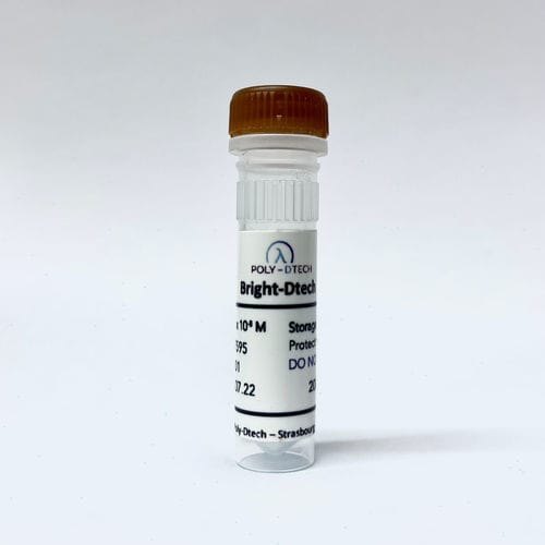 Reagenz / als Lösung - Bright-Dtech™ - Poly-Dtech - Enzyme / für Forschungszwecke / für Fluss-Zytometrie
