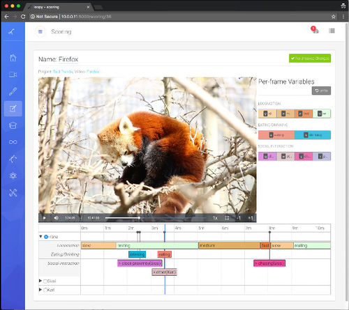 Software für Verhaltensforschung - Loopy  - loopbio gmbh - Analyse / Kalibrierung / überwacht