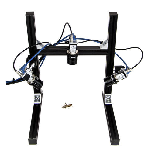 Videorekorder für Verhaltensforschung - Hexerei - loopbio gmbh - 3D