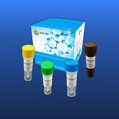 COVID-19-Testkit - HUNAN RUNMEI GENE TECHNOLOGY CO.,LTD - Coronavirus / für RT-PCR