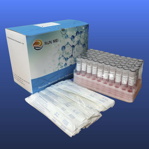 Labor-Entnahmeröhrchen - 3822009000 - HUNAN RUNMEI GENE TECHNOLOGY CO.,LTD - mit flachem Boden / Speichel / Sputum