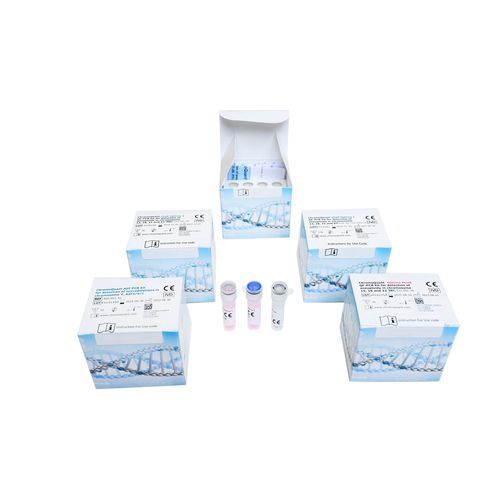QF-PCR-Testkit - ChromoQuant Optima STaR - CyberGene AB - für genetische Krankheiten / für Aneuploidie / Fetaltrisomie