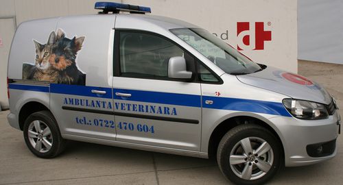 Ambulanz für Veterinärmedizin - Volkswagen Caddy - DELTAMED SRL - 4x4
