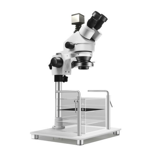 Optisches Mikroskop - Hotry - Labor / medizinisch / Neurowissenschaften