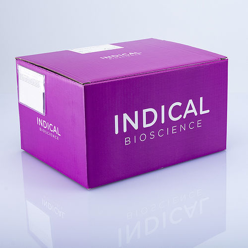 Testkit für Veterinärmedizin - BioSprint 96 One-For-All Vet Kit - INDICAL BIOSCIENCE GmbH - für Infektionskrankheiten / zur DNA-Reinigung / für Tiere