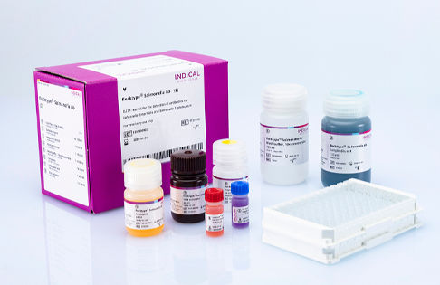 Testkit für Veterinärmedizin - flocktype Salmonella Ab - INDICAL BIOSCIENCE GmbH - für Geflügel / Bakterien / Salmonella