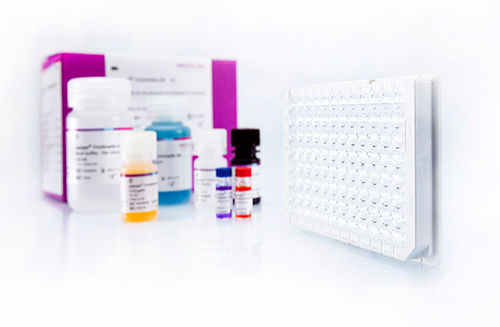 Testkit für Veterinärmedizin - pigtype Trichinella Ab - INDICAL BIOSCIENCE GmbH - Trichomonase / für Schweine / für Antikörper