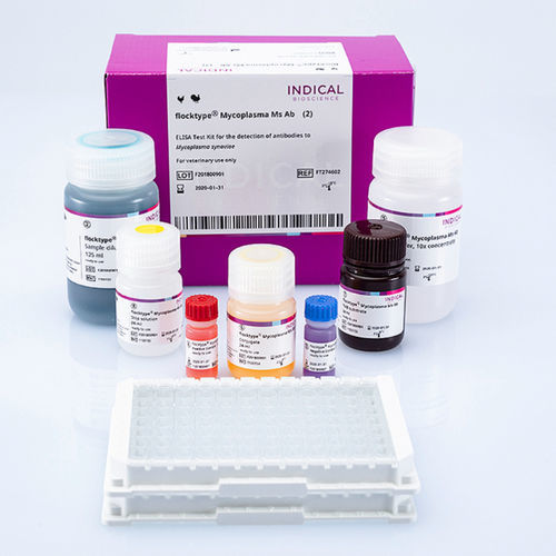 Testkit für Veterinärmedizin - flocktype Mycoplasma Ms Ab - INDICAL BIOSCIENCE GmbH - für Geflügel / TMB / Mycoplasma