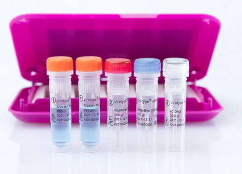 Testkit für Veterinärmedizin - virotype ASFV 2.0 PCR Kit - INDICAL BIOSCIENCE GmbH - für Infektionskrankheiten / für Schweine / DNA