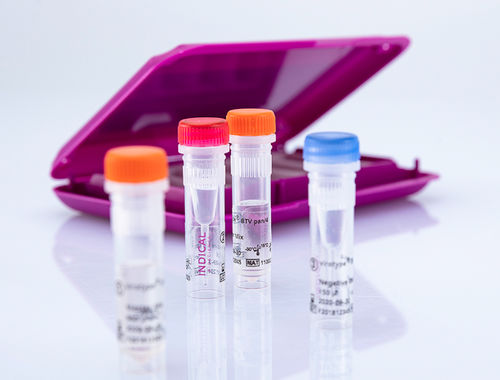 Testkit für Veterinärmedizin - virotype BTV pan/4 RT-PCR Kit - INDICAL BIOSCIENCE GmbH - für Rinder / für Schafe / für Ziegen