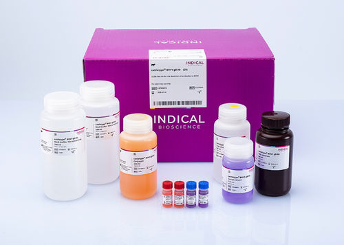 Testkit für Herpes - cattletype - INDICAL BIOSCIENCE - für Tiere / Serum / Plasma