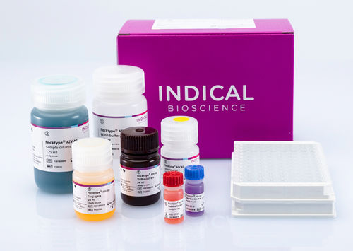 Testkit für Infektionskrankheiten - flocktype - INDICAL BIOSCIENCE - für Tiere / für Antikörper / Viren