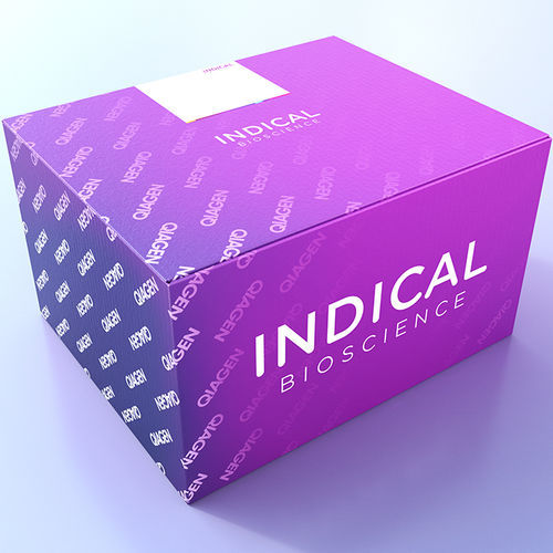 Testkit für Veterinärmedizin - cador T. equigenitalis PCR Kit - INDICAL BIOSCIENCE GmbH - für Pferde / Taylorella equigenitalis / Klebsiella pneumoniae