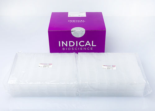 Mikroplatte für Veterinärmedizin - IndiMag 48 PW 24-Sample Block - INDICAL BIOSCIENCE GmbH - zur Probenlagerung / 96 Well / Einweg