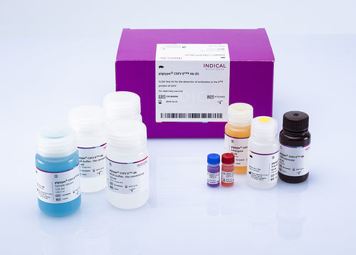 Testkit für Veterinärmedizin - pigtype CSFV Erns Ab - INDICAL BIOSCIENCE GmbH - für Schweine / TMB / Viren