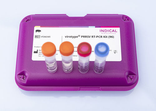 Testkit für Veterinärmedizin - virotype PRRSV RT-PCR Kit - INDICAL BIOSCIENCE GmbH - Atemwegserkrankungen / für Schweine / Atemwegs-Synzytialviren