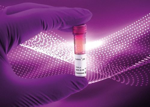 Reagenz für Veterinärlabor - IndiMix JOE - INDICAL BIOSCIENCE GmbH - Enzyme / Pufferlösung / umgekehrte Transkriptase