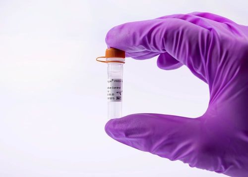 Reagenz für Veterinärlabor - virotype PRRSV PRO Positive Control - INDICAL BIOSCIENCE GmbH - Standard / für Forschungszwecke / für qPCR