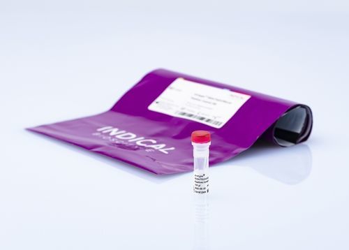 Reagenz für Veterinärlabor - virotype PEDV/TGEV/PDCoV Positive Control - INDICAL BIOSCIENCE GmbH - als Lösung / für Forschungszwecke / für RNA-Extraktion