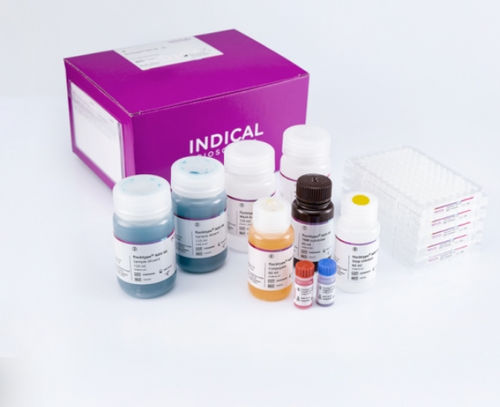 Testkit für Veterinärmedizin - flocktype NDV Ab - INDICAL BIOSCIENCE GmbH - für Newcastle Krankheit / für Geflügel / TMB