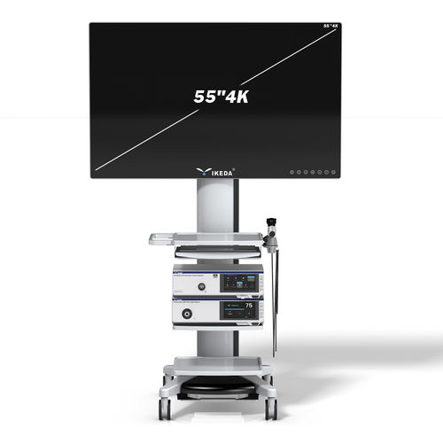 Endoskop-Kamera - YKD-9211 - AKX - medizinisch / OP / digital