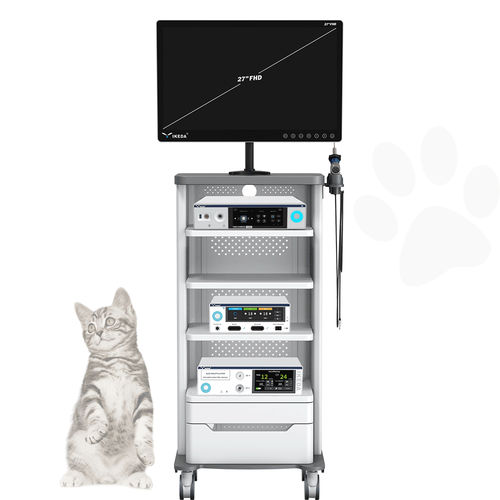 Veterinär-Gastroskop / Video - AKX-9620 - AKX