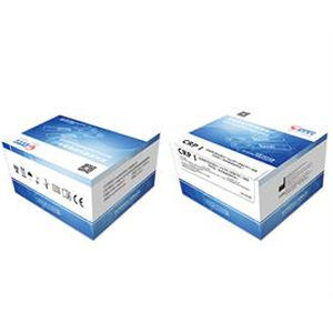 COVID-19-Schnelltest - Zhongshan Chuangyi Biochemical Engineering Co.,ltd - IgG / IgM / SARS-COV-2