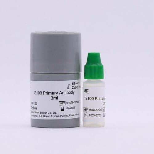 Antikörper - Beijing Strong Biotechnologies, Inc - Pathologie / für Forschungszwecke / Immunohistochimie