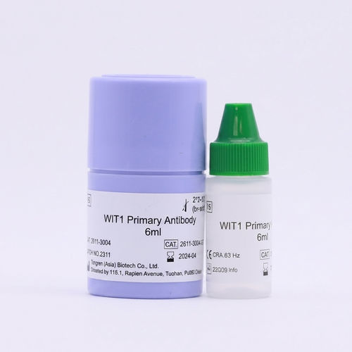 Antikörper - Beijing Strong Biotechnologies, Inc - Pathologie / FFPE-Gewebe / Immunohistochimie