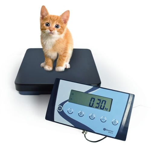 Elektronische Veterinärwaage - APS - BAXTRAN - Plattform / Säulen / mit separatem Anzeiger