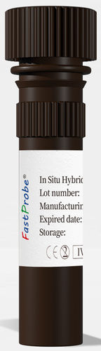 Färbelösungs-Reagenz -  CL-004 - Wuhan HealthCare Biotechnology Co., Ltd. - für die Histologie / für Hybridisierung / für Zellkultur