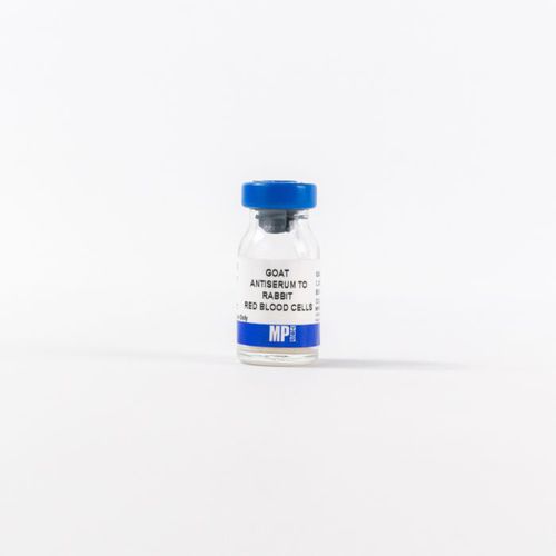 Antiserum-Reagenz - 0855616 - MP Biomedicals - für Forschungszwecke / Diagnose / Gewebe