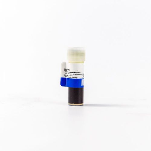 Agarosegel-Reagenz - 112327204 - MP Biomedicals - Ladepuffer / für Forschungszwecke / für Elektrophorese
