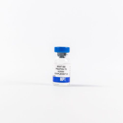 Protein-Reagenz - 0855033 - MP Biomedicals - Antikörper / für Forschungszwecke / gefriergetrocknet