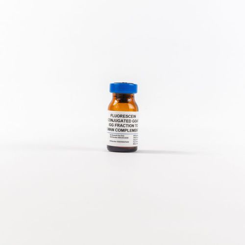 IgG-Reagenz - 0855167 - MP Biomedicals - Antikörper / für ELISA / Gewebe