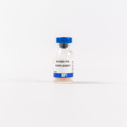 Protein-Reagenz - 0855854 - MP Biomedicals - Serum / für Forschungszwecke / gefriergetrocknet