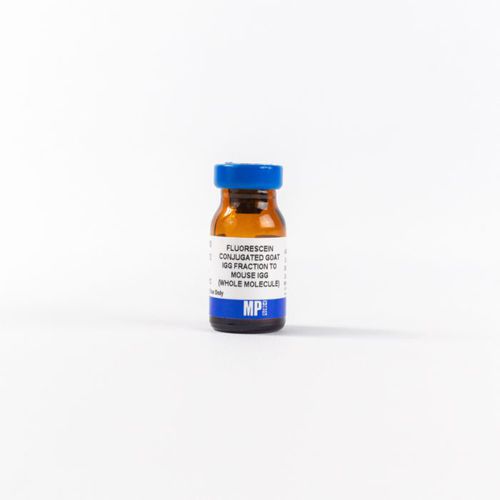 IgG-Reagenz - 0855493 - MP Biomedicals - Antikörper / für Forschungszwecke / Gewebe