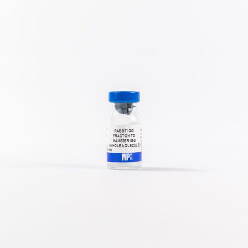 Protein-Reagenz - 0855398 - MP Biomedicals - Enzyme / Antikörper / für Forschungszwecke