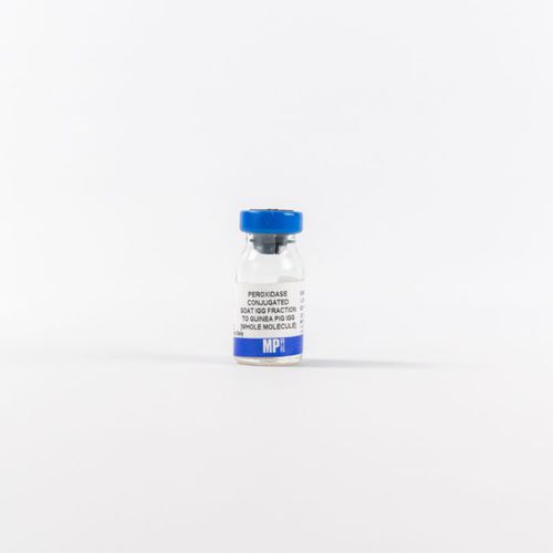 IgG-Reagenz - 0855391 - MP Biomedicals - Enzyme / Antikörper / für Forschungszwecke