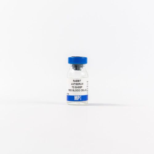 Gesamtprotein-Reagenz - 0855800 - MP Biomedicals - polyklonaler Antikörper / für Forschungszwecke / Gewebe